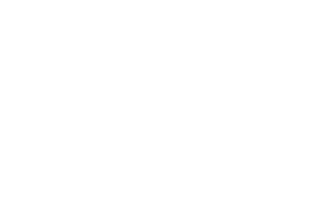 Zurich-LS